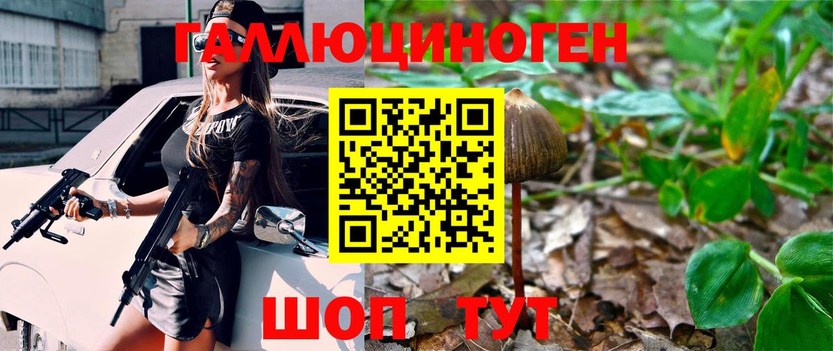 Псилоцибиновые грибы Psilocybine cubensis Скопин